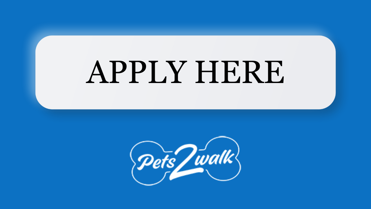large blue rectangle with 'apply here' text and the Pets2Walk logo below it